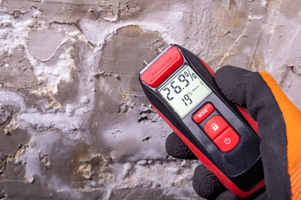 Best Toxic Mold Removal  in Englishtown, NJ