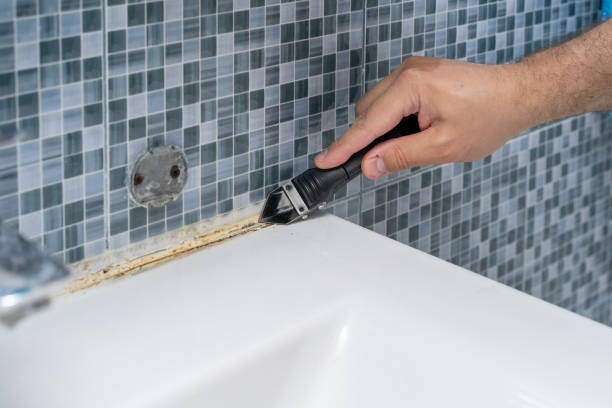 Best Affordable Mold Removal  in Englishtown, NJ